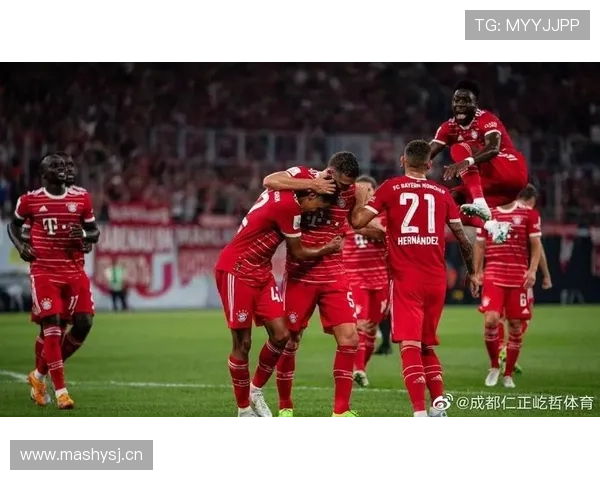 美因茨新援加盟后球队战力持续提升，期待未来表现稳定