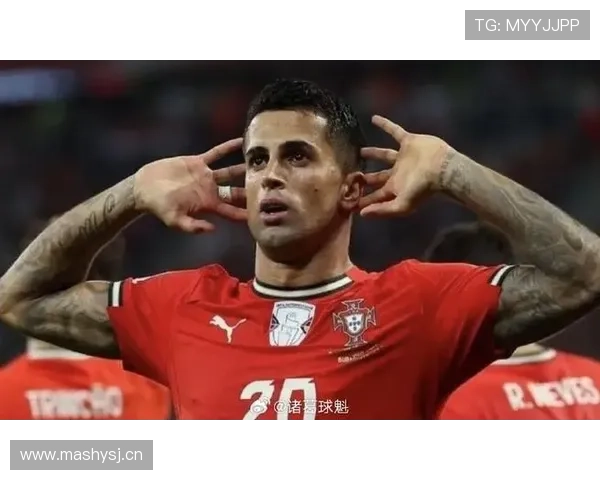 若昂·坎塞洛：葡萄牙国家队主力边后卫解析