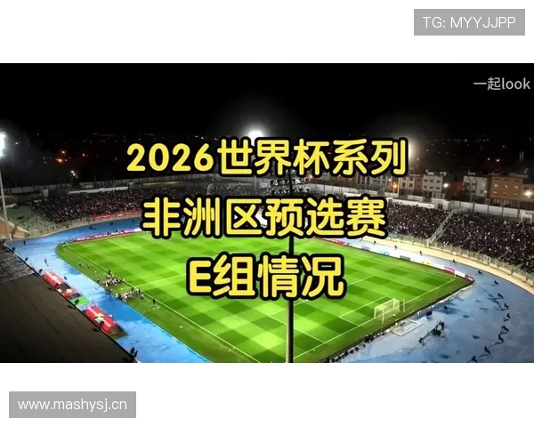 世界杯E组球队战力评分 世界杯E组球队战力评分